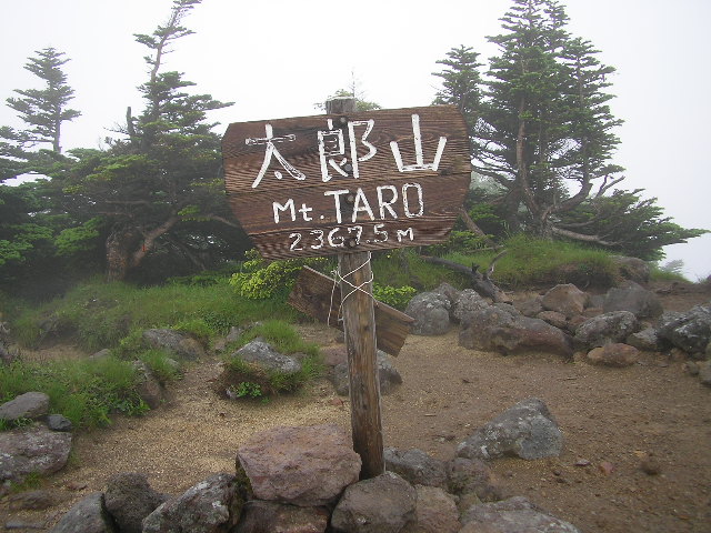太郎山山頂