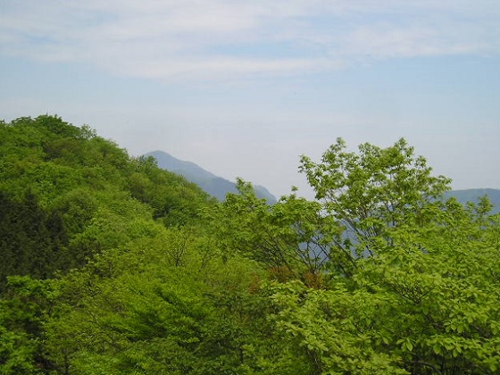 武甲山の方向